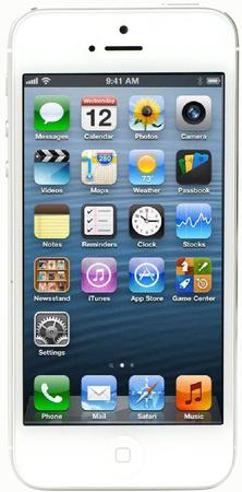 Смартфон Apple iPhone 5 32Gb White & Silver - Казань